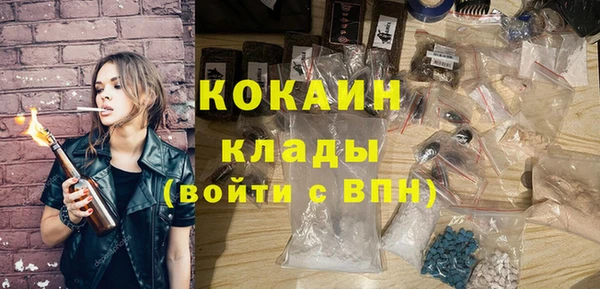 эйфоретик Богданович