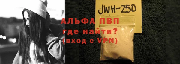 эйфоретик Богданович