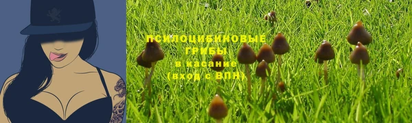 марки lsd Богородск