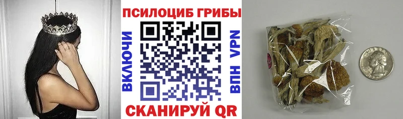 Купить закладки  Губкинский  Галлюциногенные грибы Cubensis 