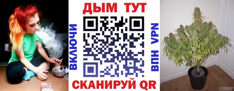 Каннабис OG Kush  Купить где  Губкинский 